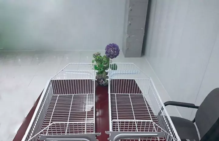 Rổ mì siêu thị 0,7m