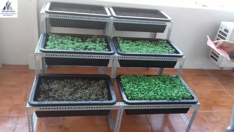 kệ sắt V lỗ đặt chậu cây cảnh