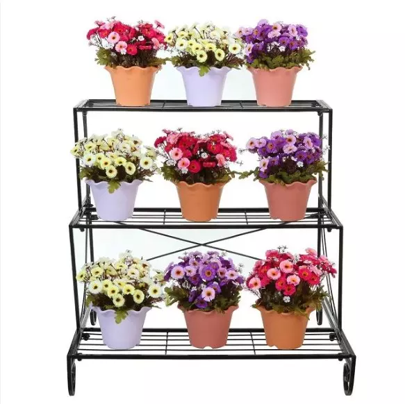 Kệ trưng bày hoa tươi là gì?